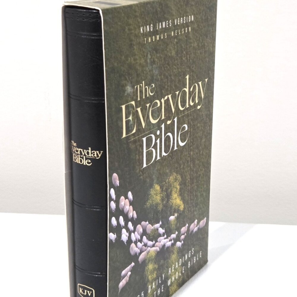 KJV Everyday Gospel Bible